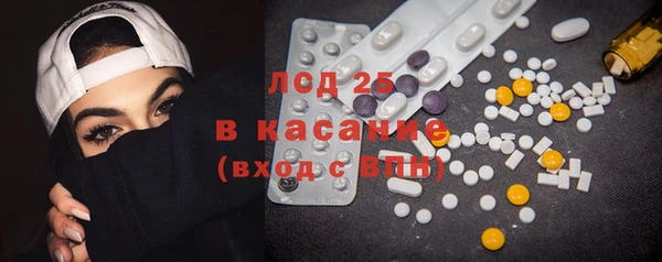 PSILOCYBIN Армянск