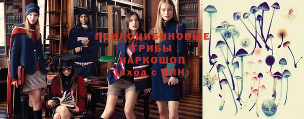 mdpv Арсеньев