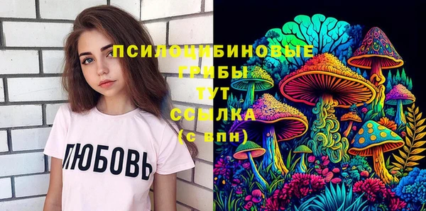 дживик Аркадак