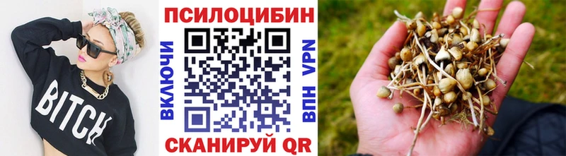 Галлюциногенные грибы мухоморы  blacksprut маркетплейс  Тында 