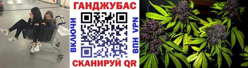 blacksprut сайт  Тында  Канабис SATIVA & INDICA 